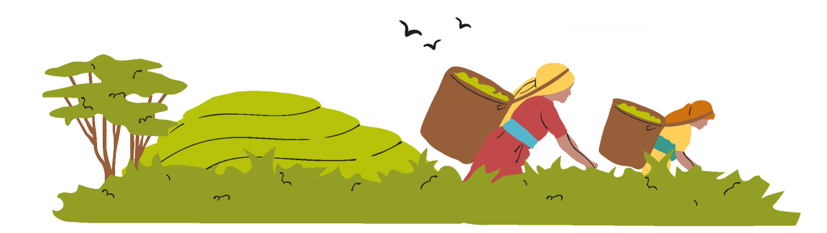 fairtrade illustration